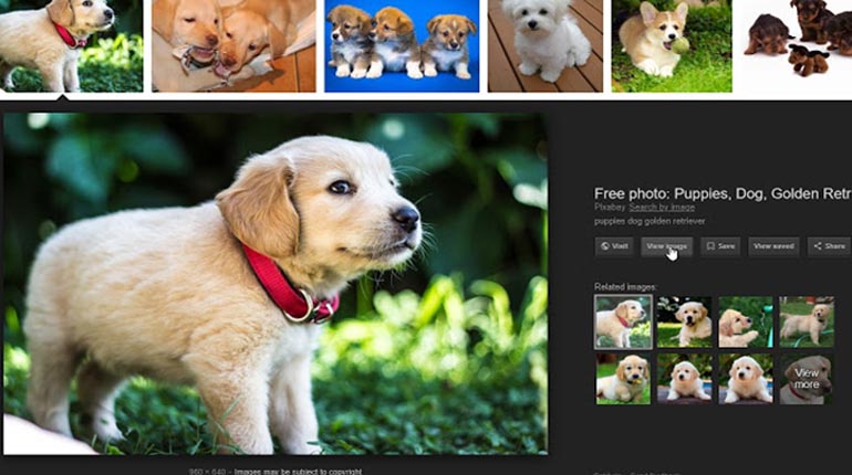 Recuperar la función “Ver imagen” en Google
