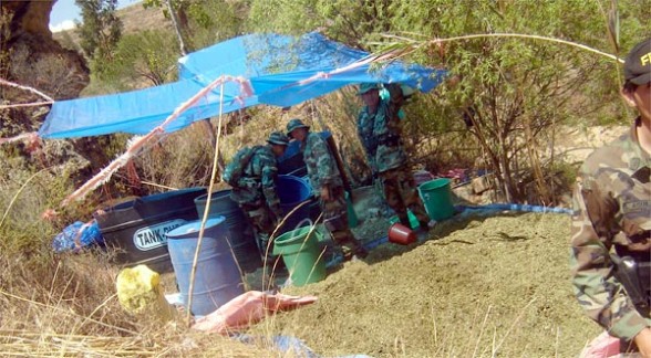 Destruyen 18 fábricas de droga en el trópico en dos operativos