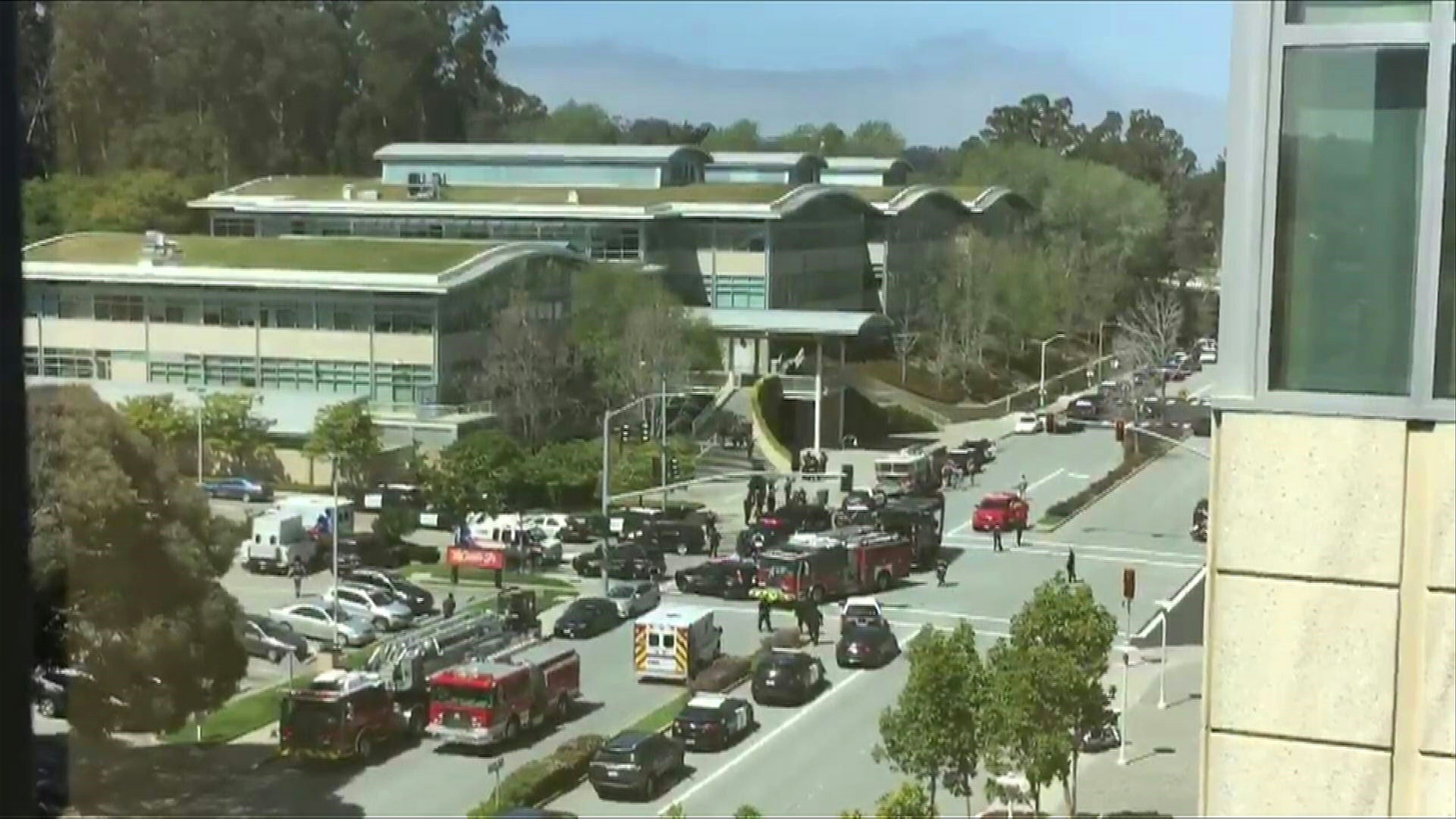 Dare Dorm California