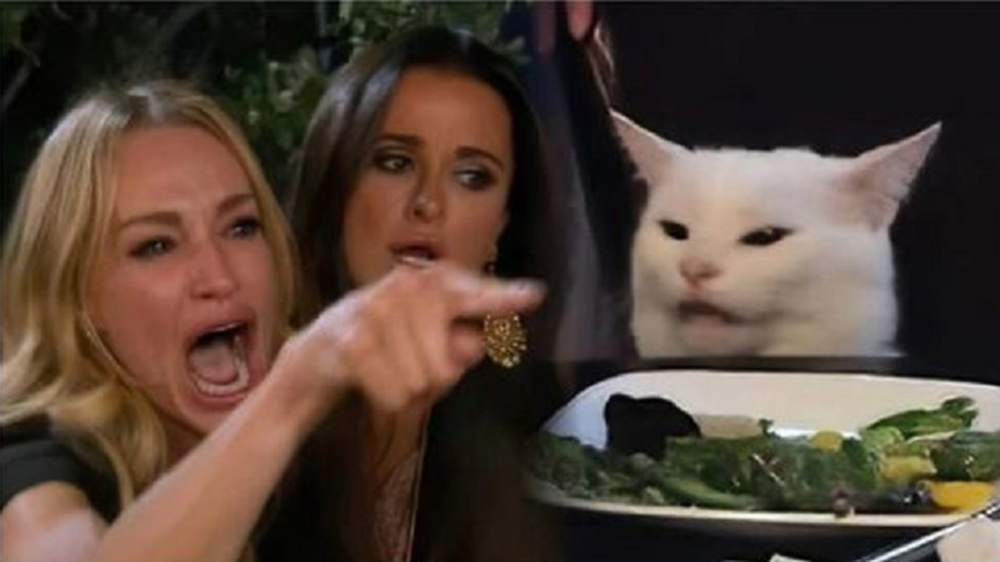 Woman Pointing At Cat Meme Template