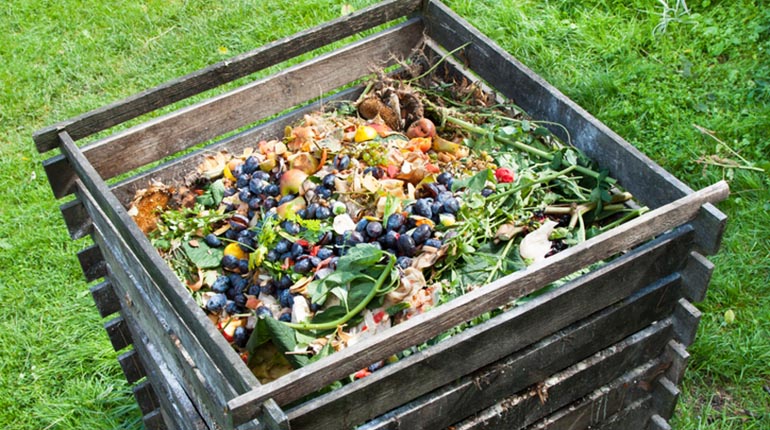Crea tu propio compost para jardín o huerto