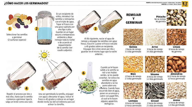 🍀♻️ Cómo hacer un germinador y germinar semillas en casa