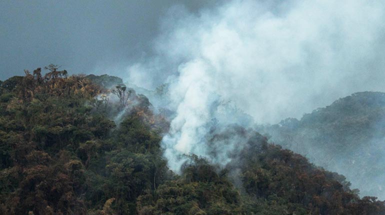 Colomi Guardaparques y Alcaldía desconocen de apertura de vía en El Cañadón de ...