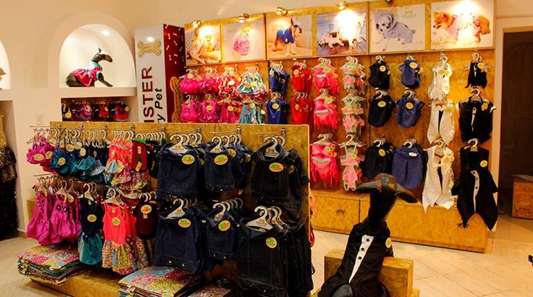 veinte textura Napier Doguister, una exitosa empresa boliviana en indumentaria para mascotas |  Los Tiempos