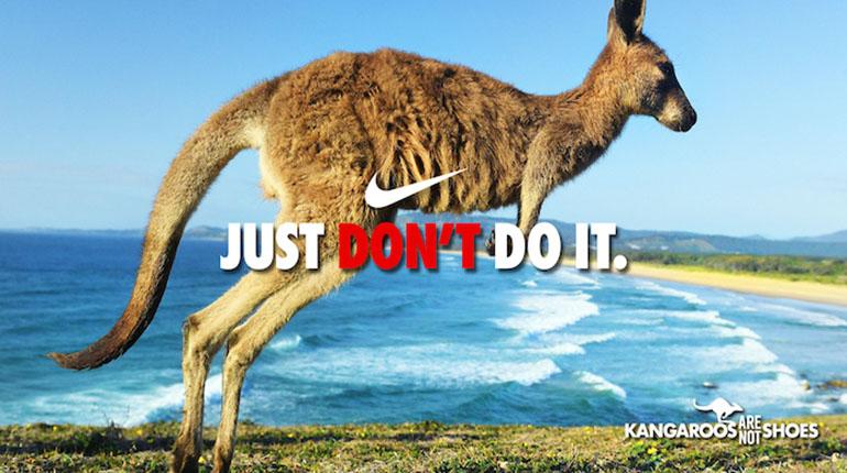 Rafflesia Arnoldi Imperativo satélite Nike dejará de usar piel de canguro para botas deportivas para finales 2023  | Los Tiempos
